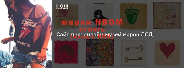 крисы Арсеньев