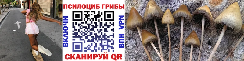 Галлюциногенные грибы ЛСД  Заречный 