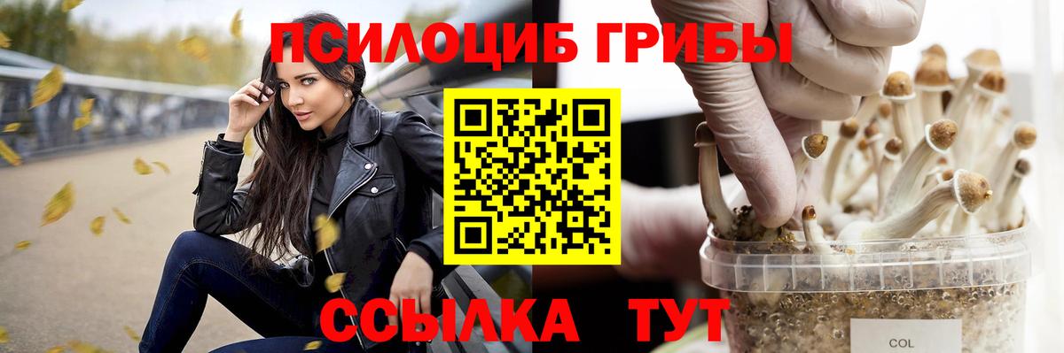 Галлюциногенные грибы мухоморы  Вход с VPN  Заречный 
