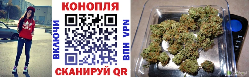 кракен ссылки  закладка  Заречный  Бошки Шишки планчик 
